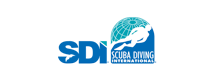 SDI