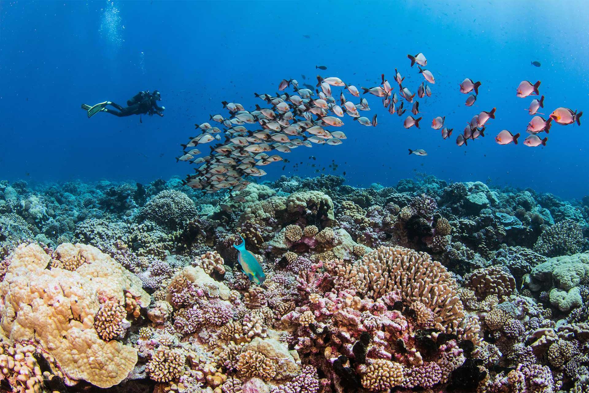 North channel - inside